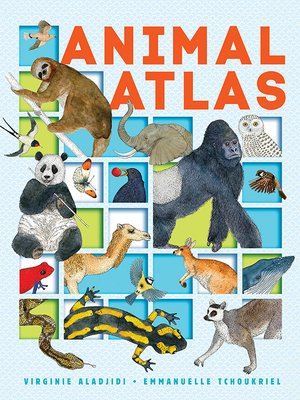 cover image of Animal Atlas